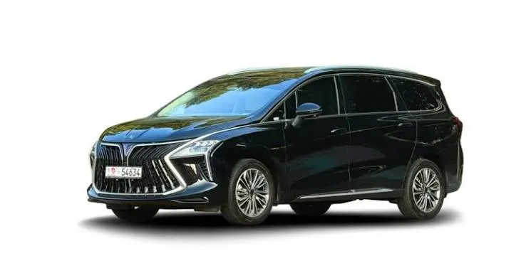 Luxury MPV / Minivan